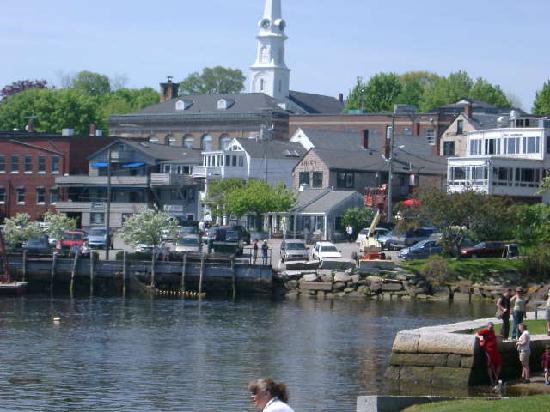 Blackjack charters maine